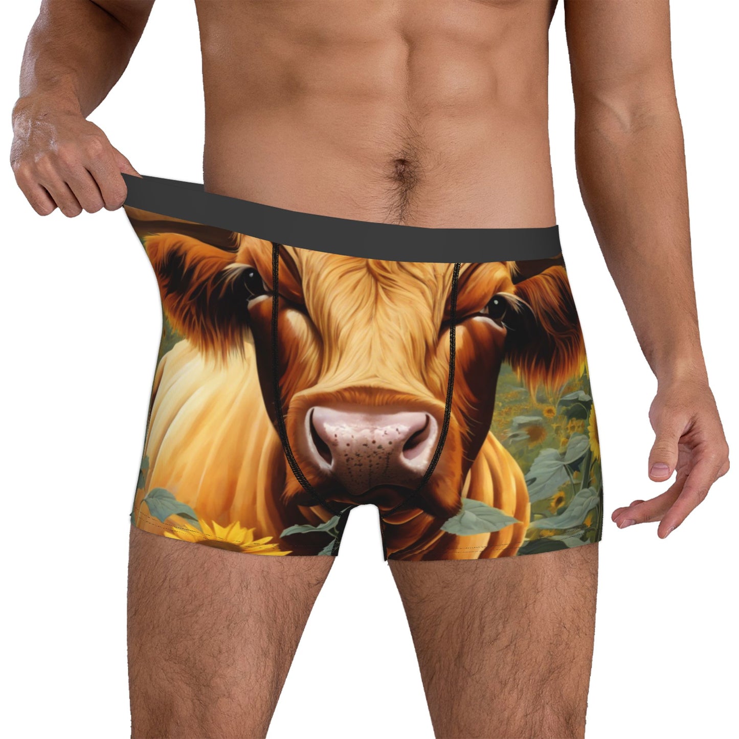 Men's Boxer Briefs