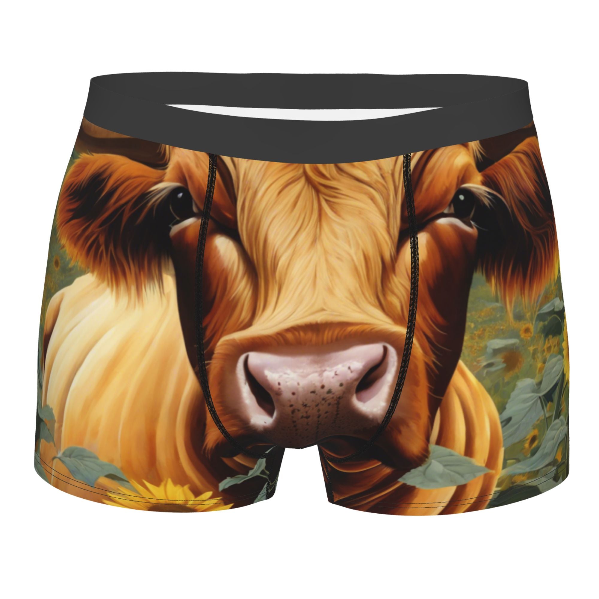 Men's Boxer Briefs