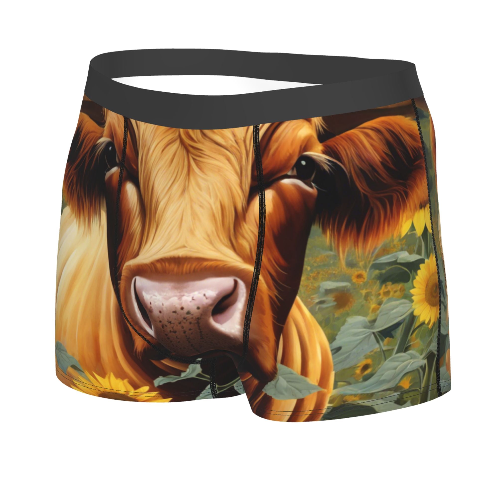 Men's Boxer Briefs