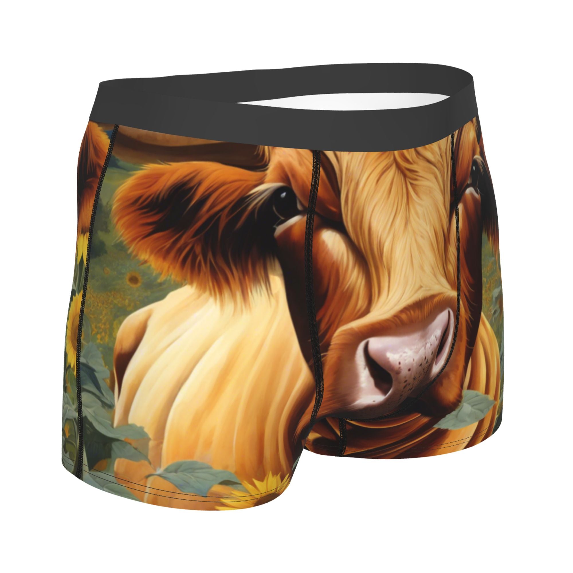 Men's Boxer Briefs