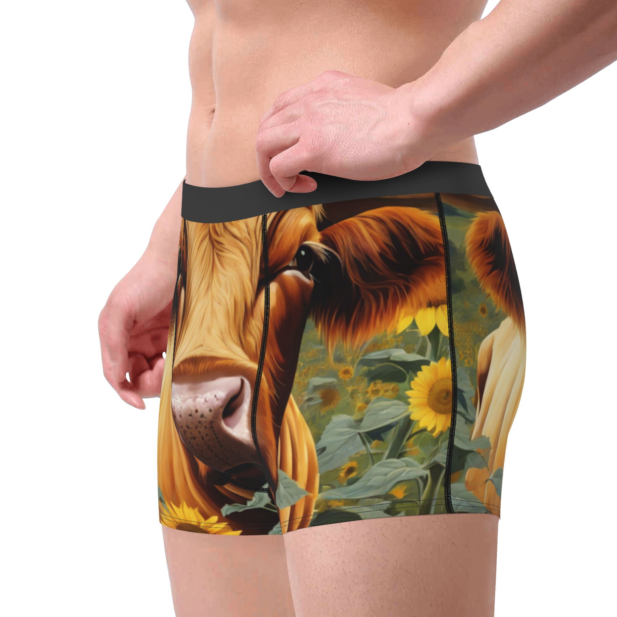 Men's Boxer Briefs