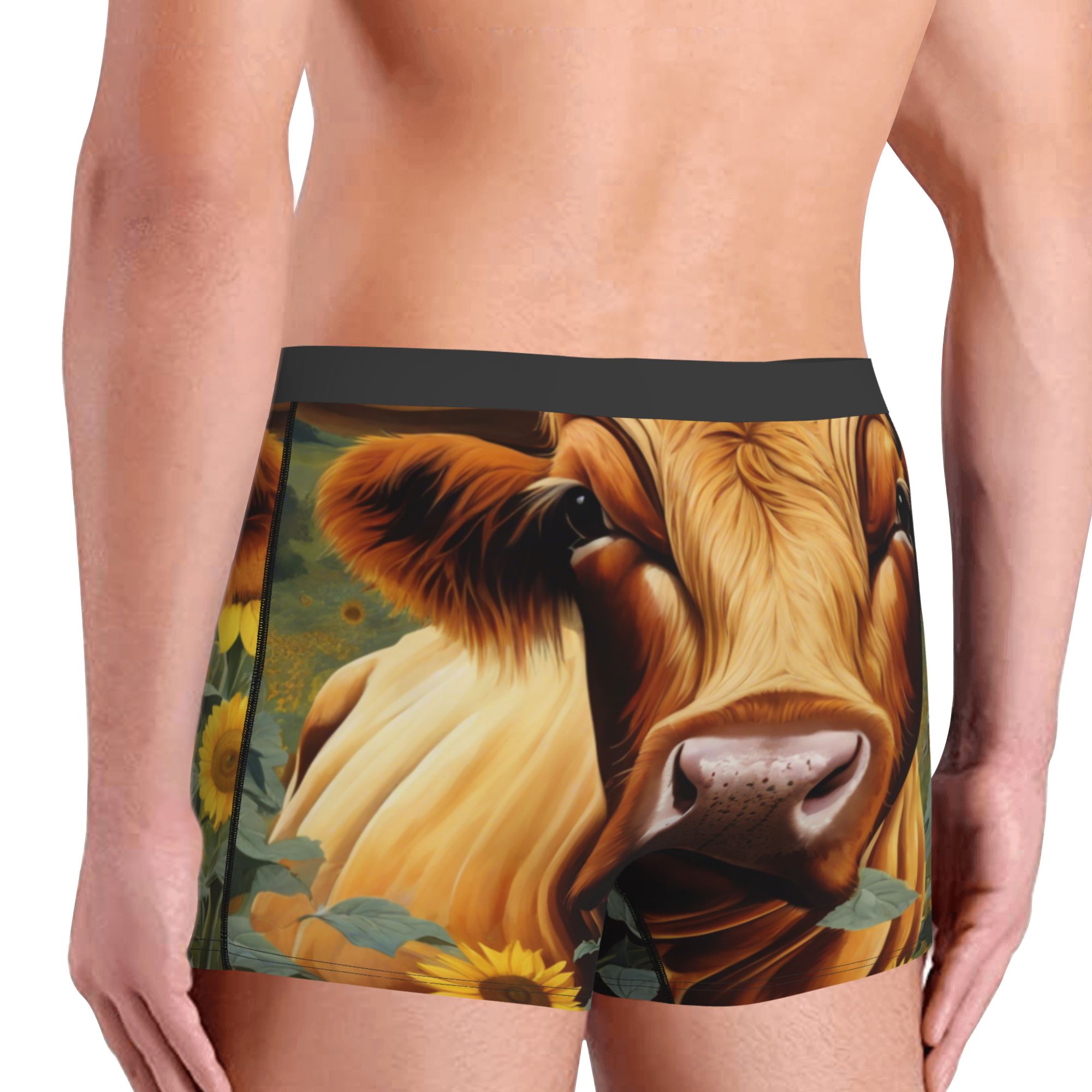 Men's Boxer Briefs